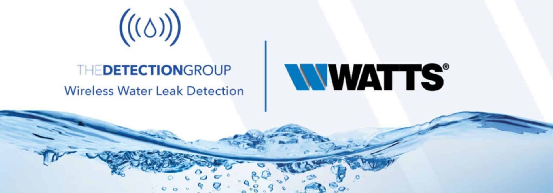 The Detection Group